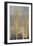 Black Frame