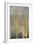 White Frame