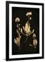 Gramercy Black