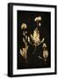 Black Frame
