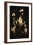 Brown Frame