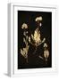 White Frame