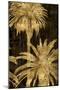 Wood Mount