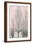 Brown Frame