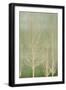 Black Frame