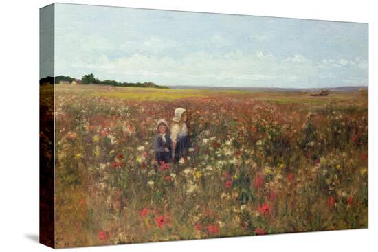 Stretched Canvas Print, , large