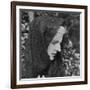 Kate Dickinson, C.1893-Louisa Warenne-Framed Giclee Print