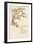 'Kate Greenaway's Marigold Garden', 1885, (1946)-Catherine Greenaway-Framed Giclee Print