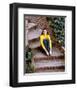 Kate Jackson-null-Framed Photo