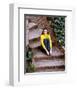 Kate Jackson-null-Framed Photo