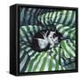Canvas Black