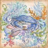 Feathered Splendor I-Kate McRostie-Art Print