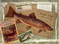 Sport Fishing-Kate Ward Thacker-Giclee Print