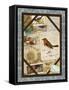 Framed Canvas