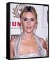 Kate Winslet-null-Framed Stretched Canvas