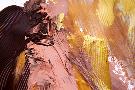 Laminate