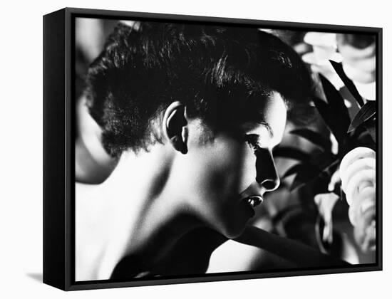 Katharine Hepburn, 1936-null-Framed Stretched Canvas