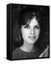 Katharine Ross-null-Framed Stretched Canvas