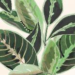 Jungle Close Up II-Katherine & Elizabeth Pope-Art Print