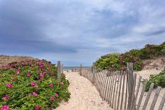 Dunes Light-Katherine Gendreau-Framed Photographic Print