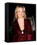 Katherine Heigl-null-Framed Stretched Canvas