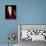 Katherine Heigl-null-Photo displayed on a wall