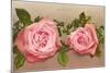 Katherine Mermet Pink Roses-null-Mounted Art Print
