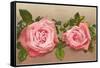 Katherine Mermet Pink Roses-null-Framed Stretched Canvas