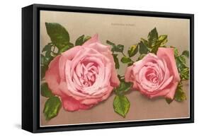 Katherine Mermet Pink Roses-null-Framed Stretched Canvas