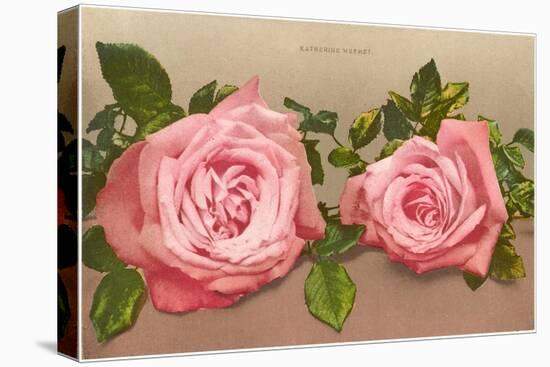 Katherine Mermet Pink Roses-null-Stretched Canvas