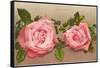 Katherine Mermet Pink Roses-null-Framed Stretched Canvas