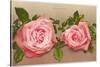 Katherine Mermet Pink Roses-null-Stretched Canvas