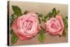 Katherine Mermet Pink Roses-null-Stretched Canvas