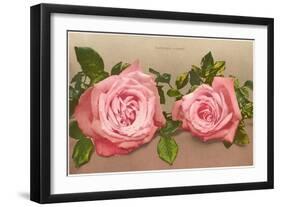 Katherine Mermet Pink Roses-null-Framed Art Print