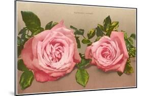 Katherine Mermet Pink Roses-null-Mounted Art Print