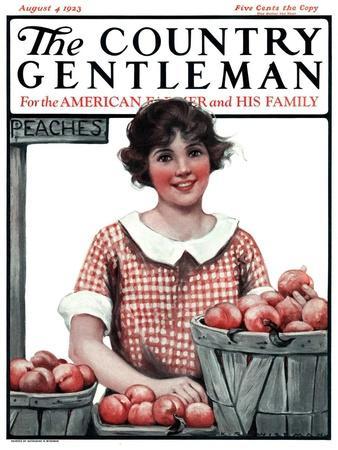 "Baskets of Peaches," Country Gentleman Cover, August 4, 1923