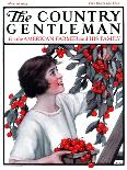 "Picking Pints of Cherries," Country Gentleman Cover, May 19, 1923-Katherine R. Wireman-Giclee Print
