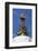 Kathesimbhu Stupa, Kathmandu, Nepal, Asia-Ian Trower-Framed Photographic Print