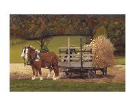 Amish Harvest-Kathleen Green-Art Print