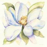 Magnolia-Kathleen Parr McKenna-Art Print