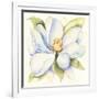 Gramercy White