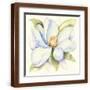 Brown Frame