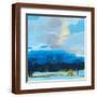Brown Frame