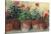 Kathleens Geraniums Crop-Carol Rowan-Stretched Canvas