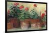 Kathleens Geraniums Crop-Carol Rowan-Framed Art Print