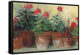Kathleens Geraniums Crop-Carol Rowan-Framed Stretched Canvas