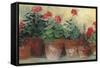 Kathleens Geraniums Crop-Carol Rowan-Framed Stretched Canvas