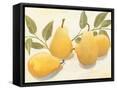Framed Canvas