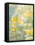 Framed Canvas