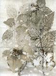 Eco Print I-Kathryn Phillips-Framed Stretched Canvas